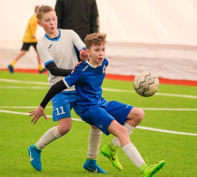 lion cup tur